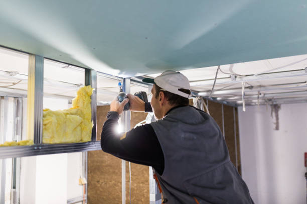 Best Commercial Insulation in Crainvle, IL