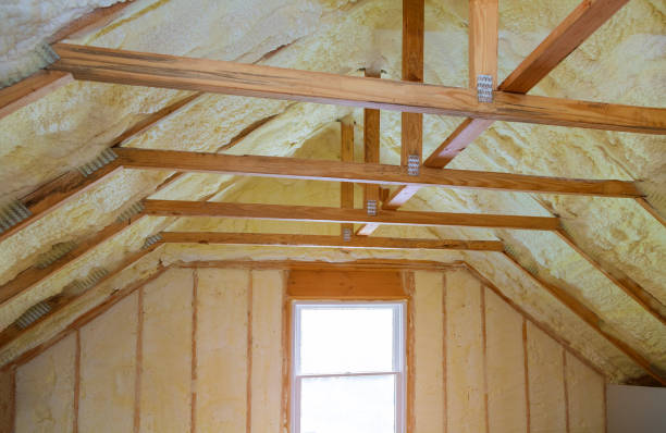Best Spray Foam Insulation in Crainvle, IL