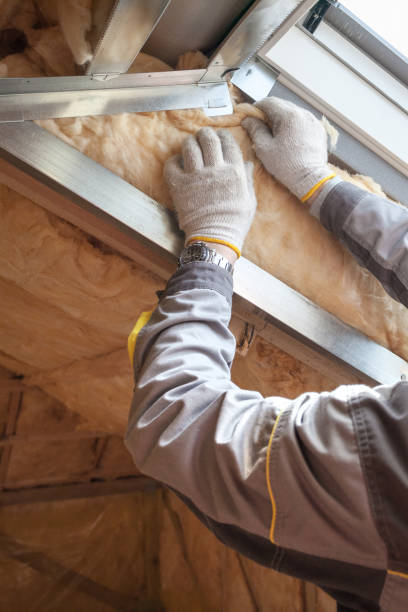 Best Energy Efficiency Insulation in Crainvle, IL