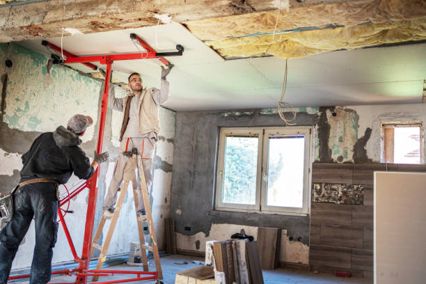 Best Blown-in Insulation in Crainvle, IL
