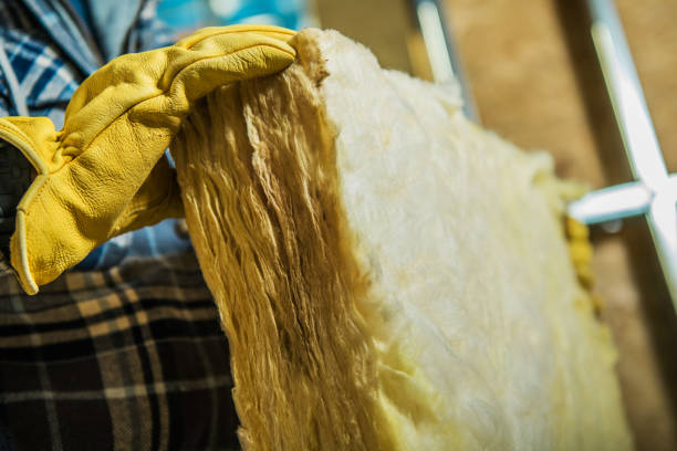 Best DIY Insulation Kits and Guidance in Crainvle, IL