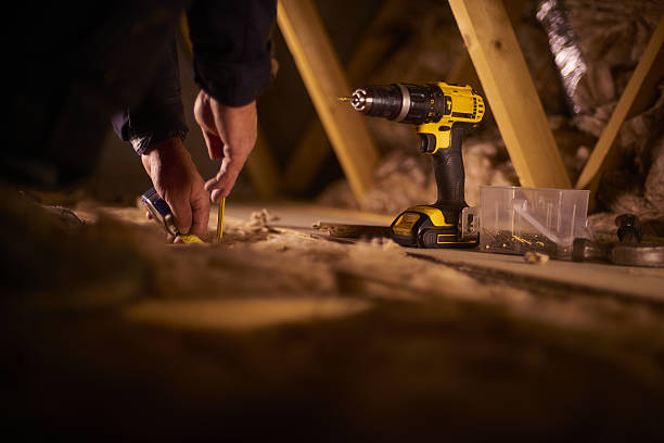 Best Insulation Maintenance and Repair in Crainvle, IL