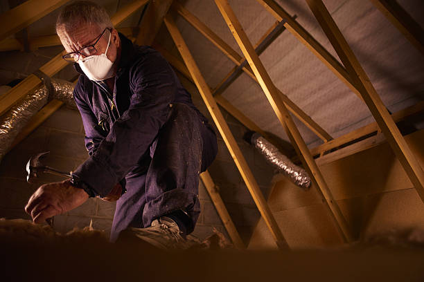 Types of Insulation We Offer in Crainville, IL