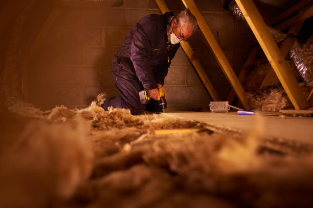 Best Residential Insulation in Crainvle, IL